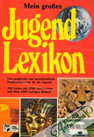 Mein grosses Jugendlexikon - Kolektív autorov