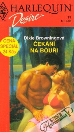 Čekání na bouři - Browningová Dixie