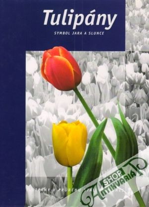 Tulipány - Symbol jara a slunce - Horst Arend Jan / Bader