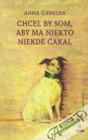 Chcel by som, aby ma niekto niekde čakal - Gavalda Anna