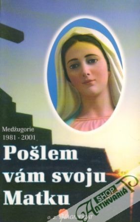 Pošlem vám svoju matku - kolektív autorov