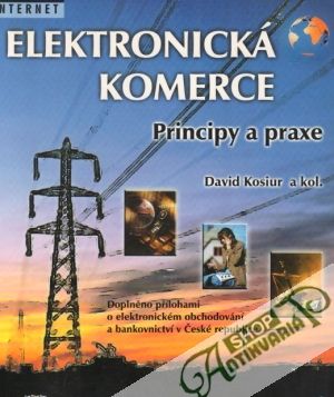 Elektronická komerce - Principy a praxe - Kosiur David a kol.