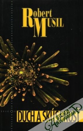 Duch a skúsenosť - Musil Robert