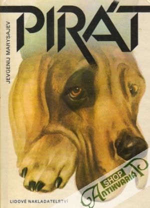 Pirát - Marysajev Jevgenij
