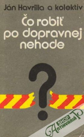 Čo robiť pri dopravnej nehode - Havrilla Ján a kolektív
