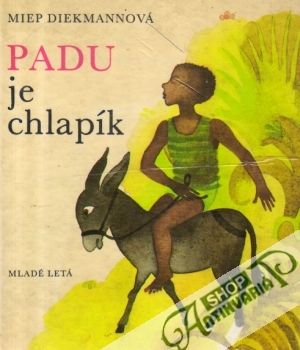 Padu je chlapík - Diekmannová Miep