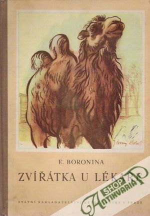 Zvířatka u lékaře - Boronina E.