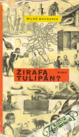 Žirafa nebo tulipán? - Macourek Miloš