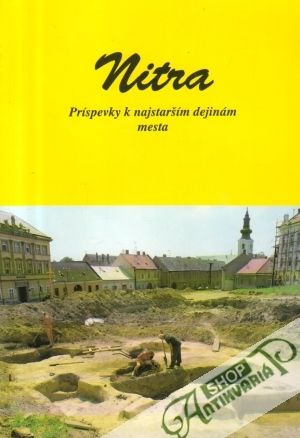 Nitra (príspevky k najstarším dejinám mesta) - kolektív autorov