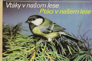 Vtáky v našom lese - kolektív autorov