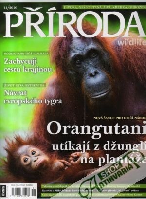 PŘÍRODA wildlife 11/2010 - Kolektív autorov