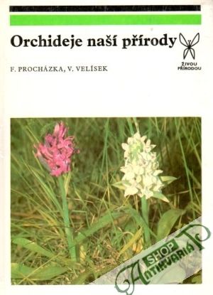 Orchideje naší přírody - Procházka F., Velísek V.