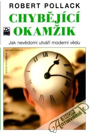 Chybějící okamžik - Pollack Robert