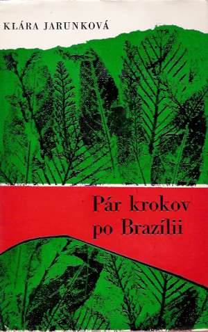 Pár krokov po Brazílii - Jarunková Klára