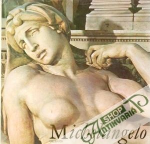 Michelangelo - Blažíček Oldřich J.