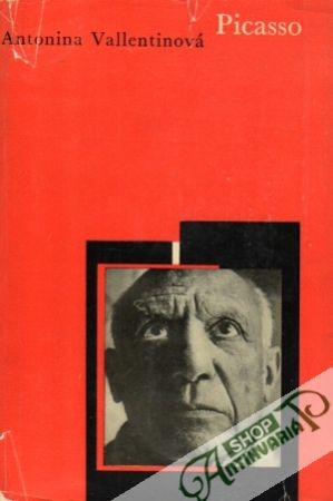 Picasso - Vallentinová ANtonina