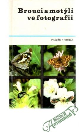 Brouci a motýli ve fotografii - Pradáč J., Hrabák R.