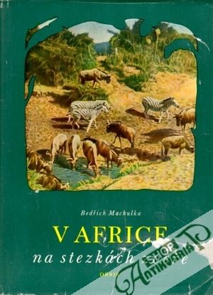 V Africe (na stezkách zvěře) - Machulka Bedřich