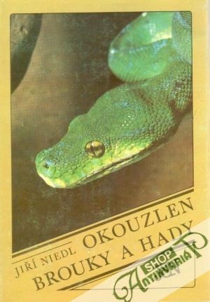 Okouzlen brouky a hady - Niedl Jiří