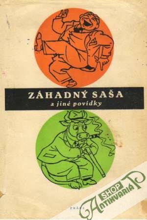 Záhadný Saša a jiné povídky - Kolektív autorov