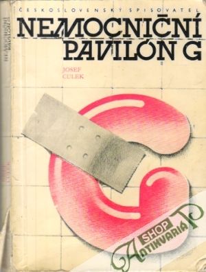 Nemocniční Pavilón G - Culek Josef