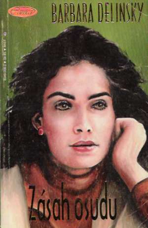 Zásah osudu - Delinsky Barbara