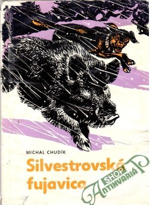 Silvestrovská fujavica - Chudík Michal