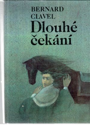 Dlouhé čekání - Clavel Bernard