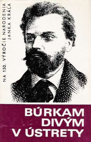Búrkam divým v ústrety - Sloboda J. a kolektív