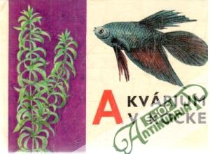 Akvárium v kocke - Andódi L., Švec J.