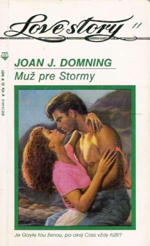 Muž pre Stormy - Domning Joan