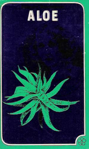Aloe - Mansfieldová Katherine
