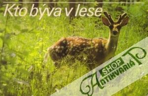 Kto býva v lese - kolektív autorov