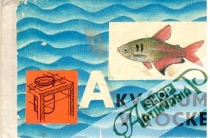 Akvárium v kocke - Andodi L., Švec J.
