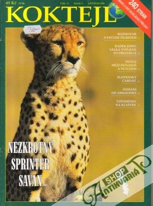 Koktejl 11/1996 - Kolektív autorov
