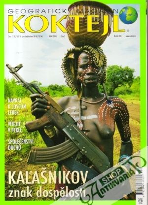 Koktejl 2/2008 - Kolektív autorov