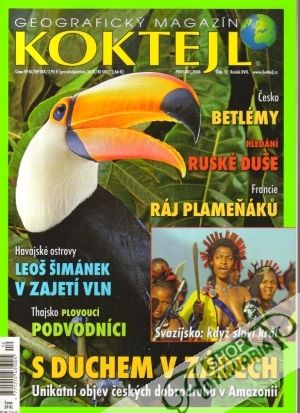 Koktejl 12/2008 - Kolektív autorov