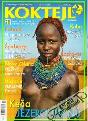 Koktejl 11/2010 - Kolektív autorov