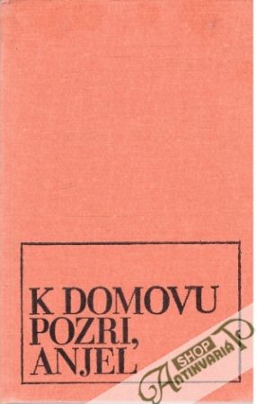 K domovu pozri, anjel - Wolfe Thomas