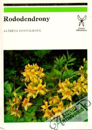 Rododendrony - Dostálková Alžběta