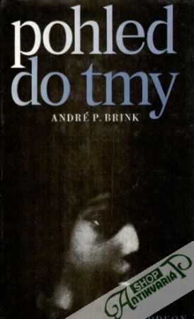 Pohled do tmy - Brink André