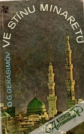 Ve stínu minaretů - Gerasimov O.G.