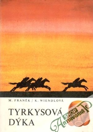 Tyrkysová dýka - Franěk M., Wiendlová K.
