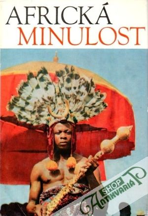 Africká minulost - Davidson Basil