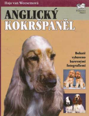 Anglický kokršpaněl - Weesemová Haja