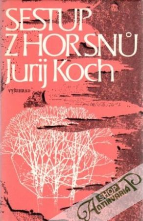 Sestup z hor snú - Koch Jurij