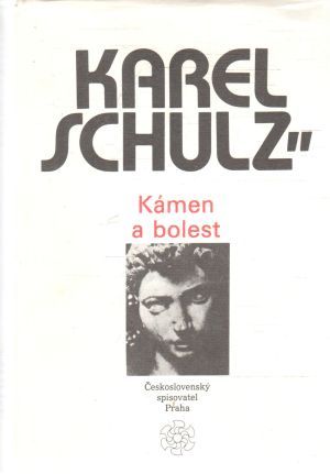 Kámen a bolest - Schulz Karel