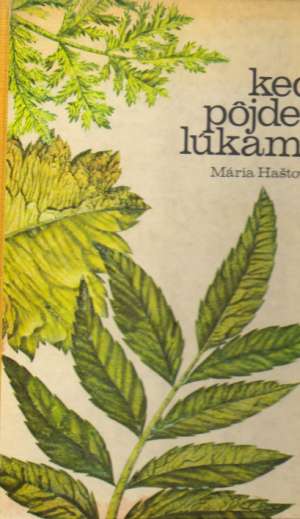 Keď pôjdeš lúkami - Haštová Mária
