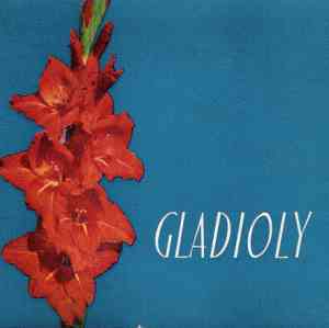 Gladioly - Adamovič Igor