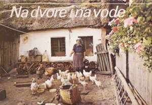 Na dvore i na vode - kolektív autorov